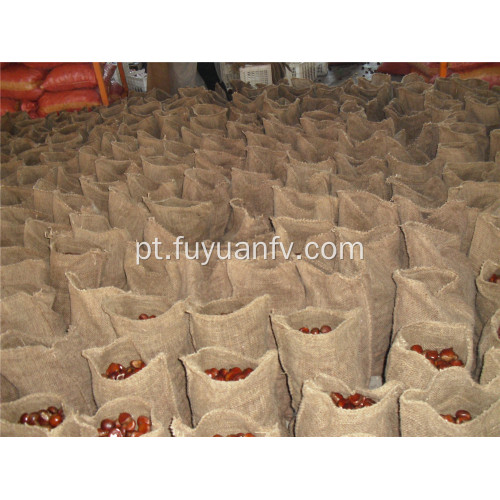 castanha fresca 30-40 pçs / kg